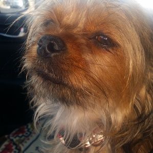 Meet your Posher, Alex